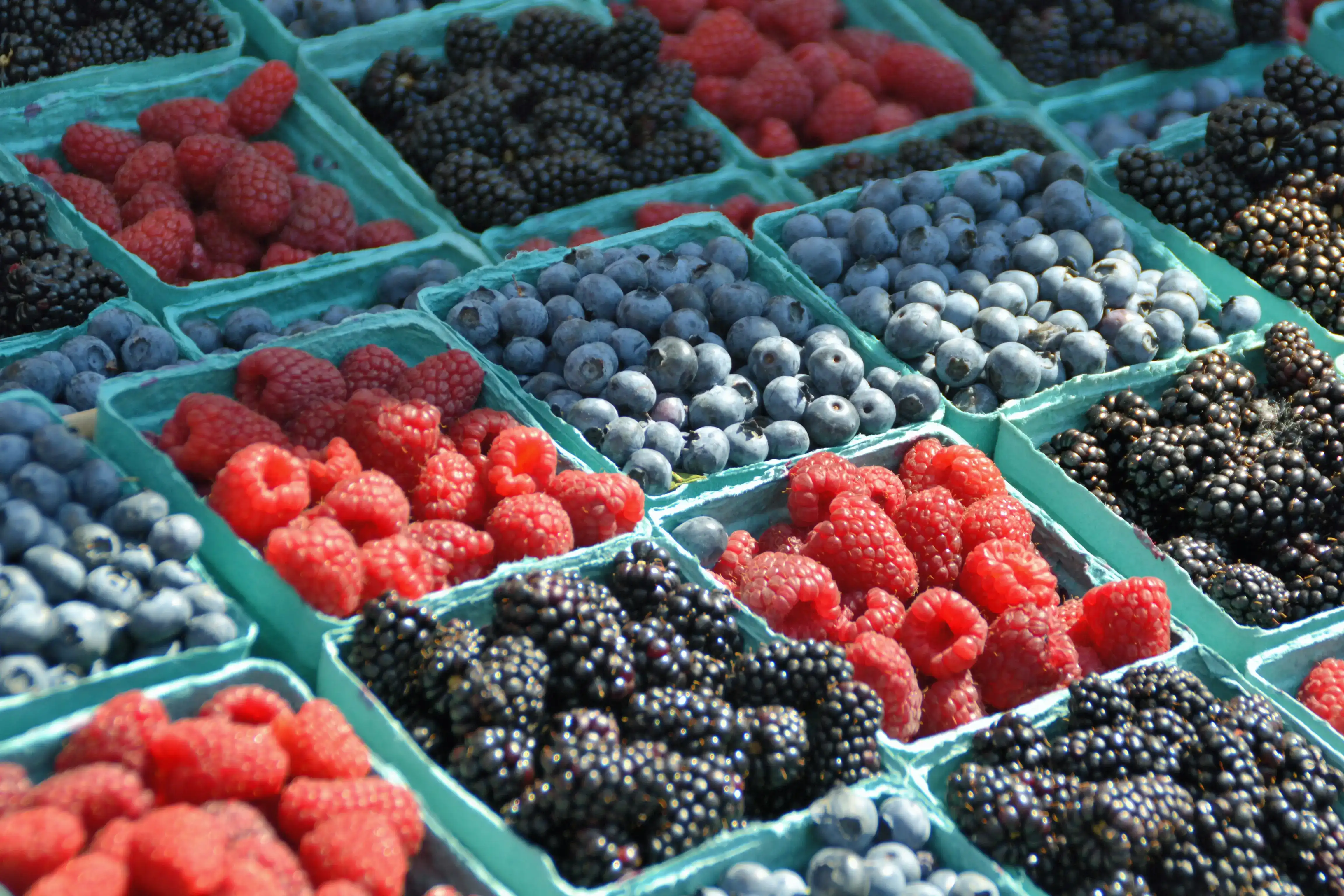 Selecție colorată de fructe de pădure proaspete